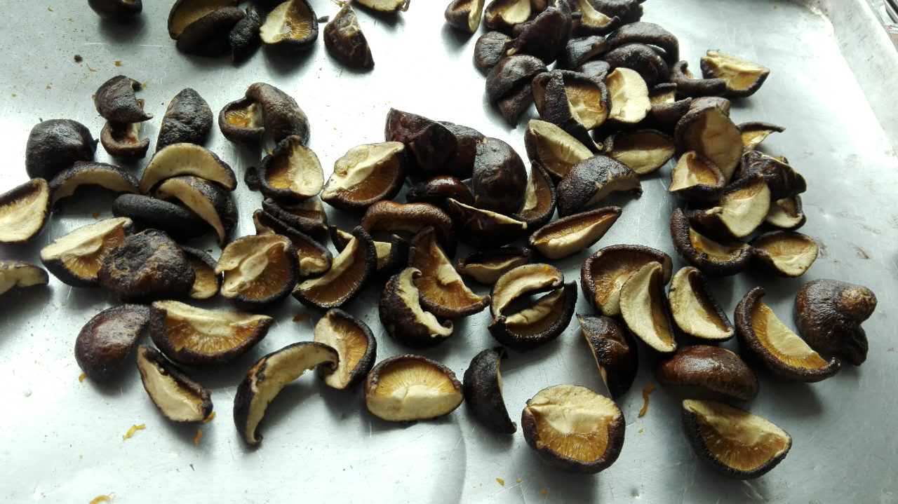 5c32e66793923.jpg 5c32e66793923.jpg